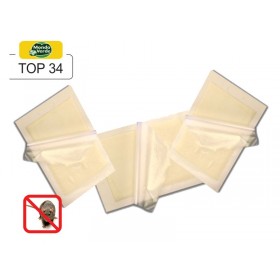 Placa adeziva soareci, sobolani - TOP 34